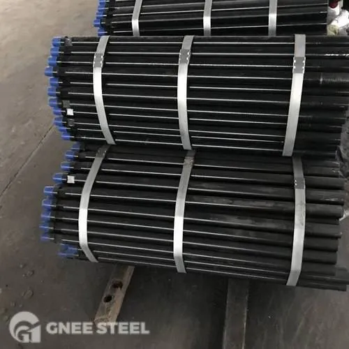 API 5DP E75 tiyo egzèsis jewolojik