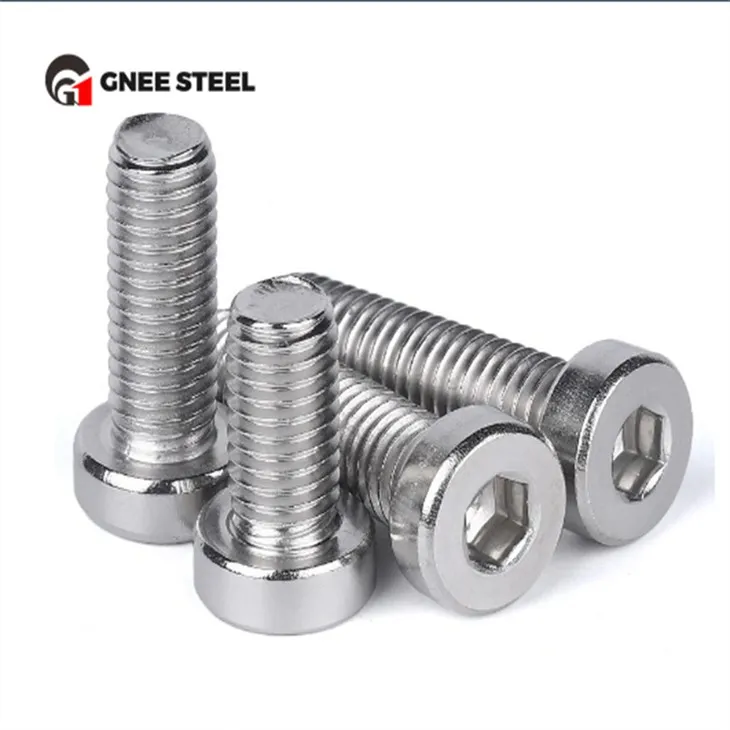 SS201 SS304 SS316 Low Head Hex Socket boulon
